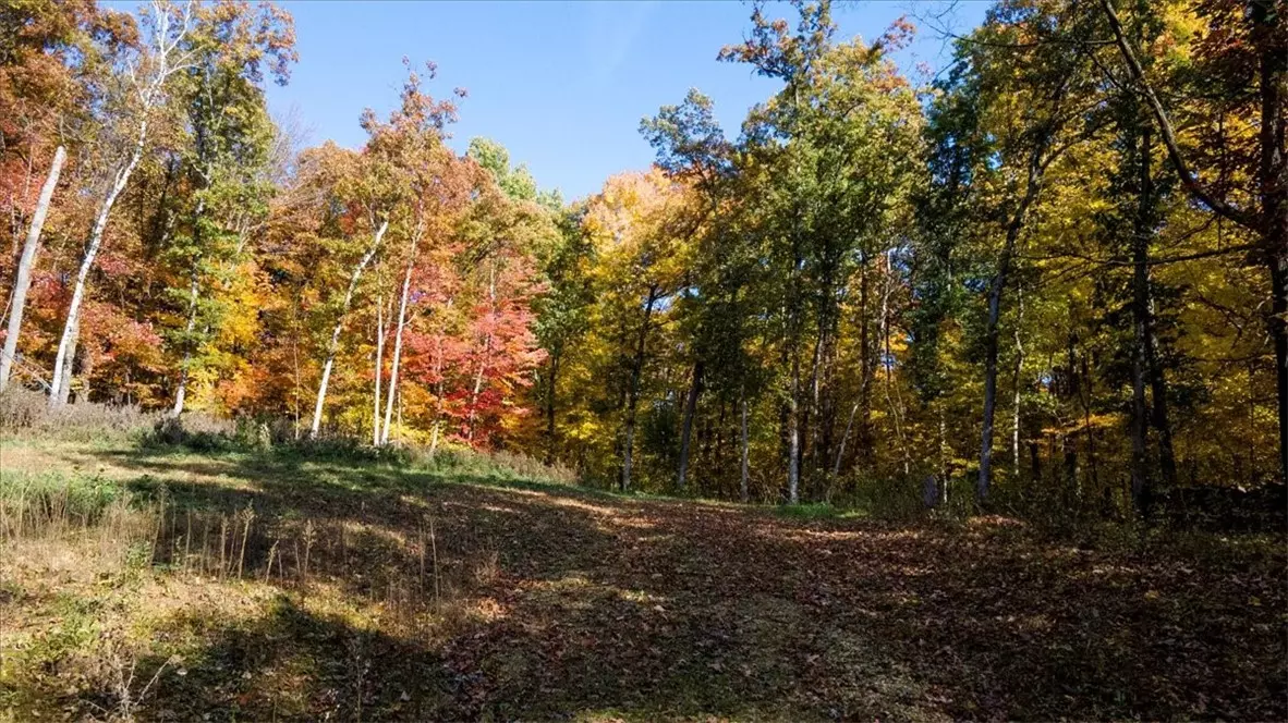 Boyceville, WI 54725,Lots 4, 5 & 6 Anderson Hill LN