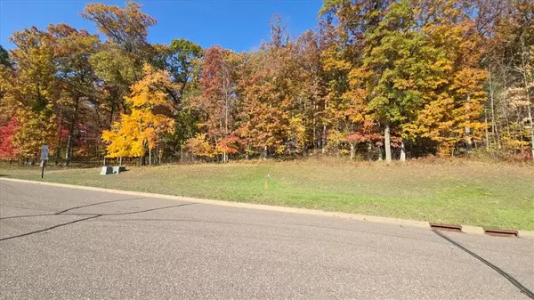 Boyceville, WI 54725,Lots 4, 5 & 6 Anderson Hill LN