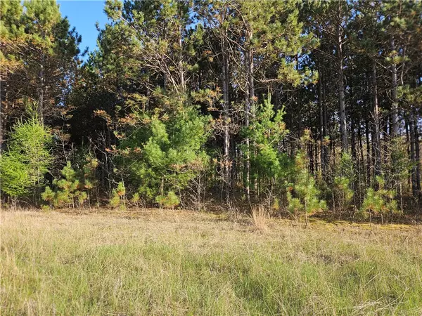 Colfax, WI 54730,0 990th AVE