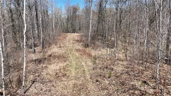 XX E Beauregard Lake RD, Solon Springs, WI 54873