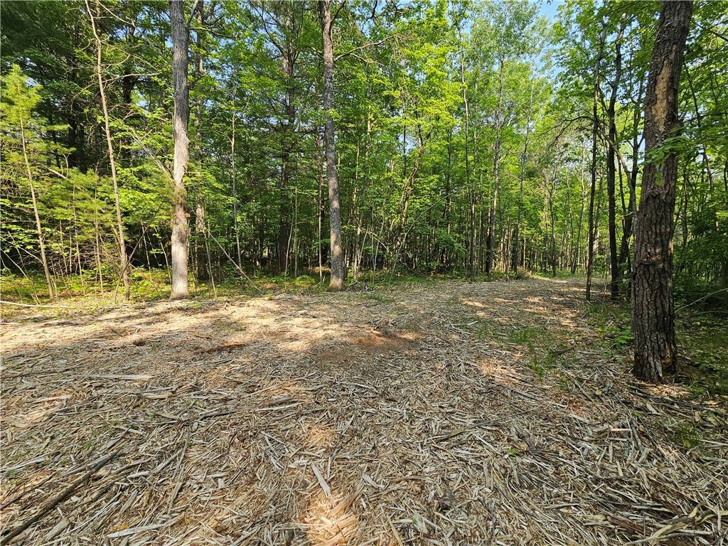 Holcombe, WI 54745,Lot 8, 2.08+/- Acres 295th AVE