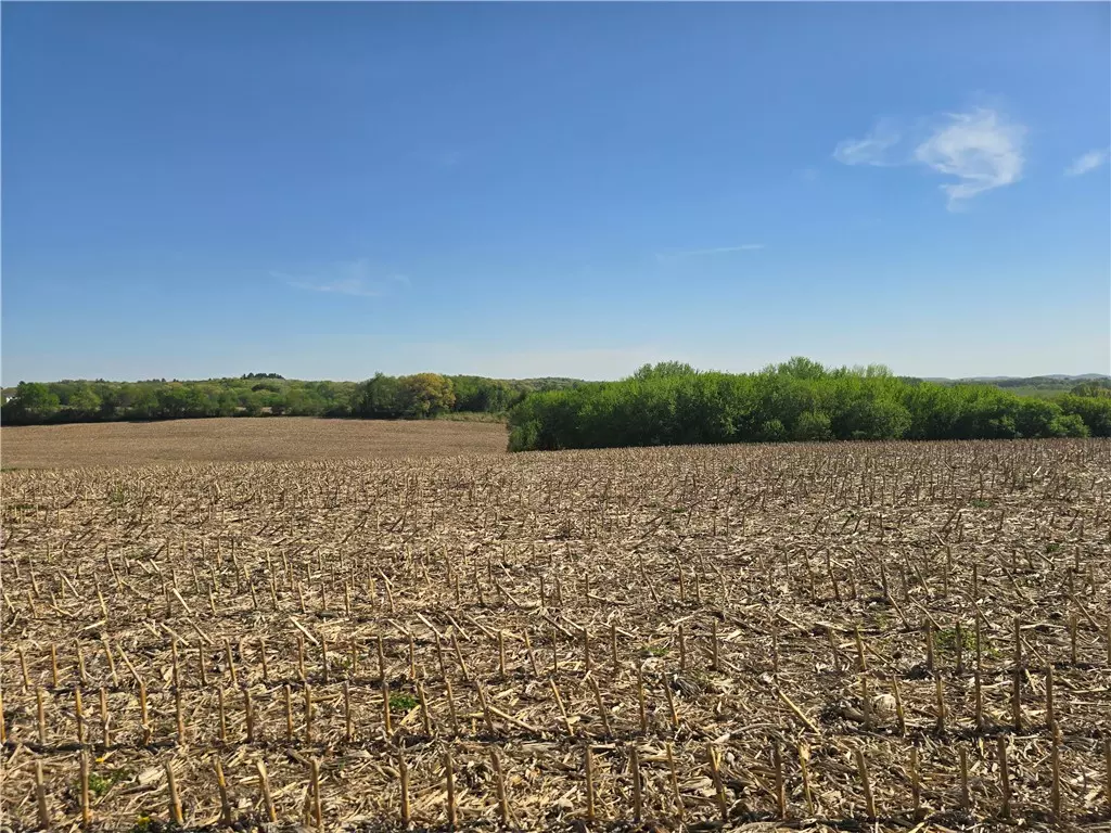 Eau Claire, WI 54701,Lot 49 Roma ST