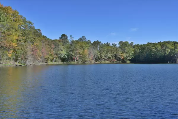 Stone Lake, WI 54876,16680W Raining Tree RD