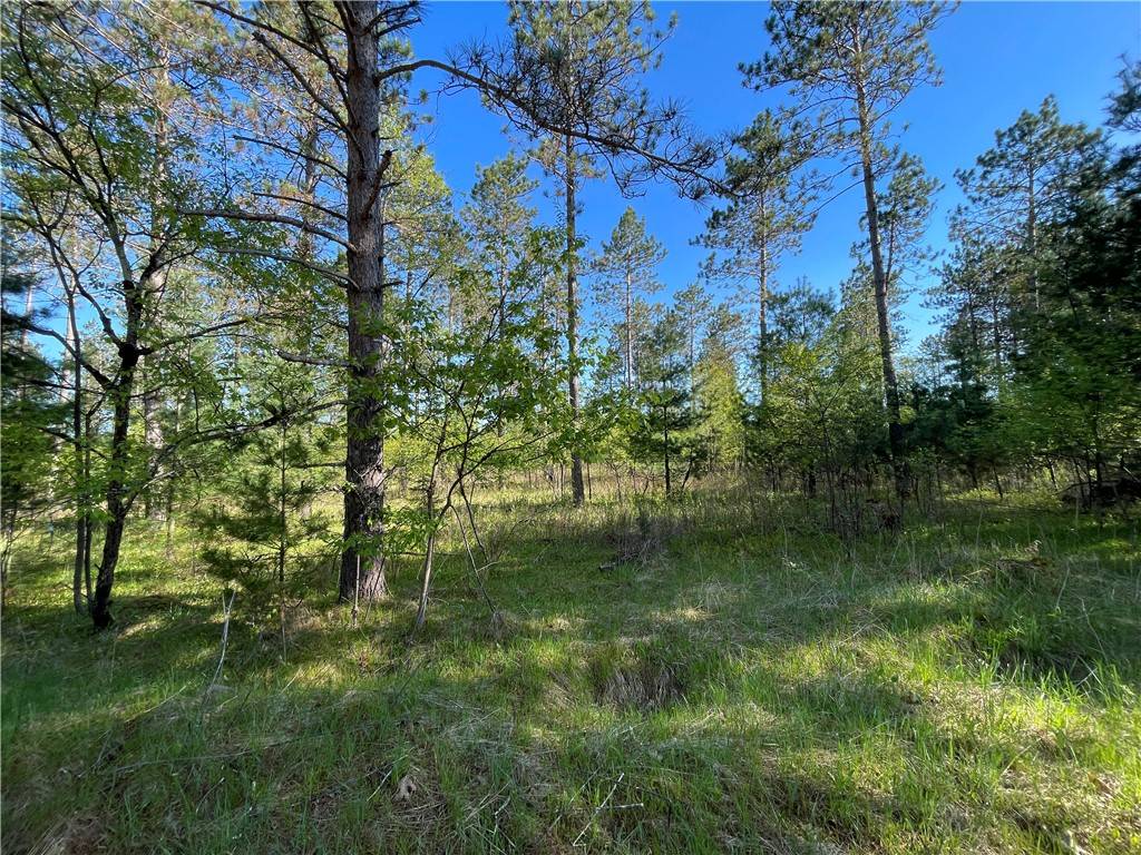 Hayward, WI 54843,Lot 2 Elaine DR