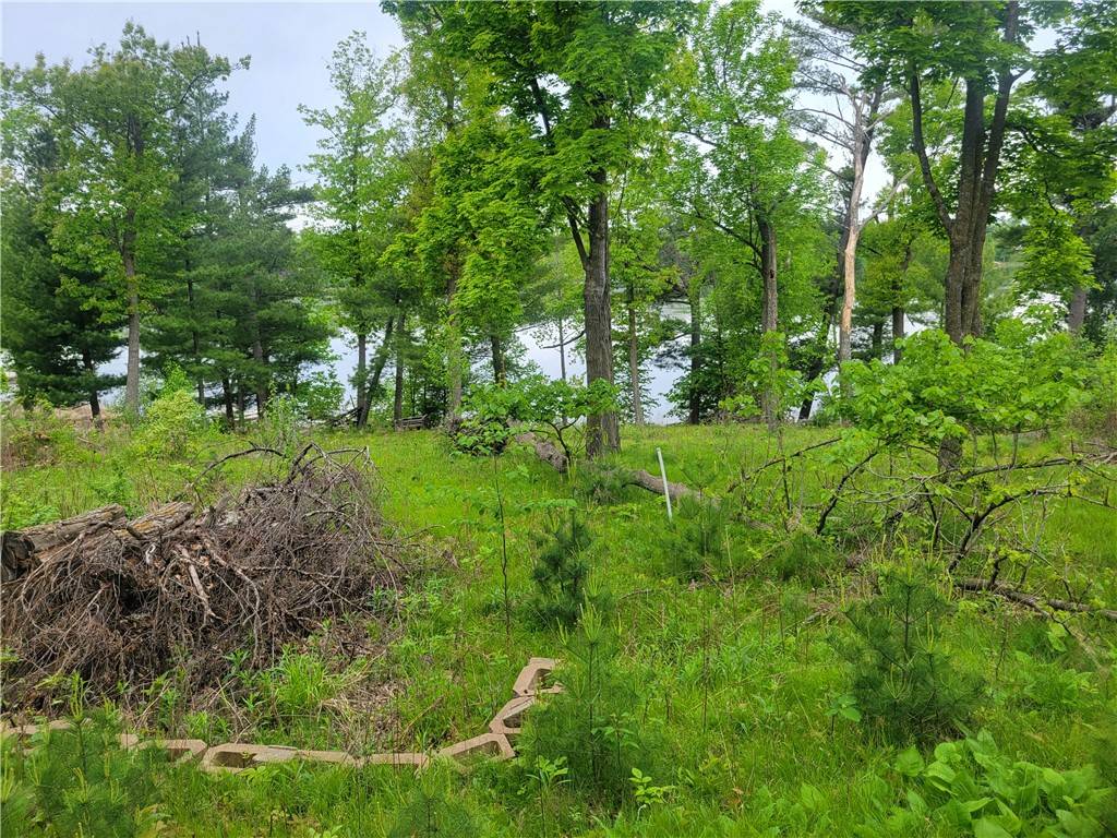 1737 E White Ash LN, Balsam Lake, WI 54810