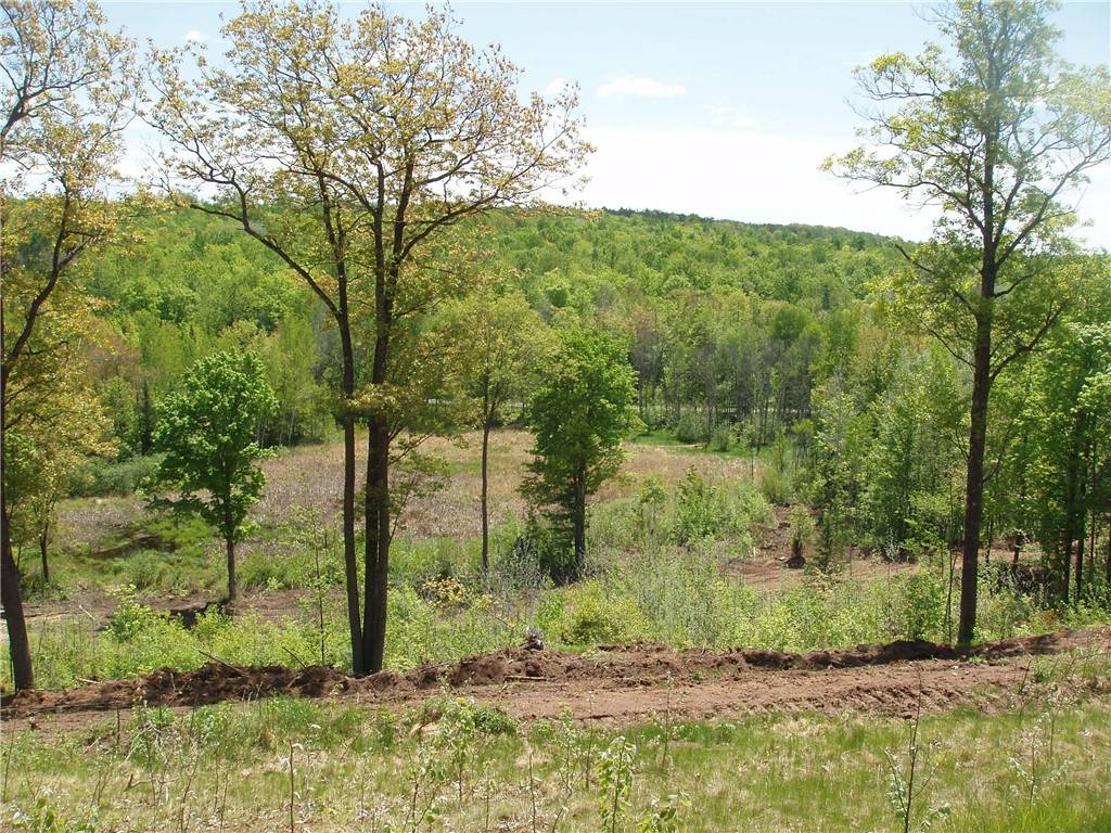 Lot 1 On Hwy 169, Mellen, WI 54546