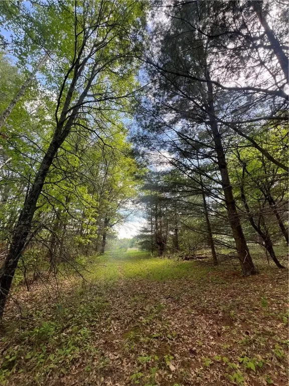 Webster, WI 54893,5304 Gaslyn RD