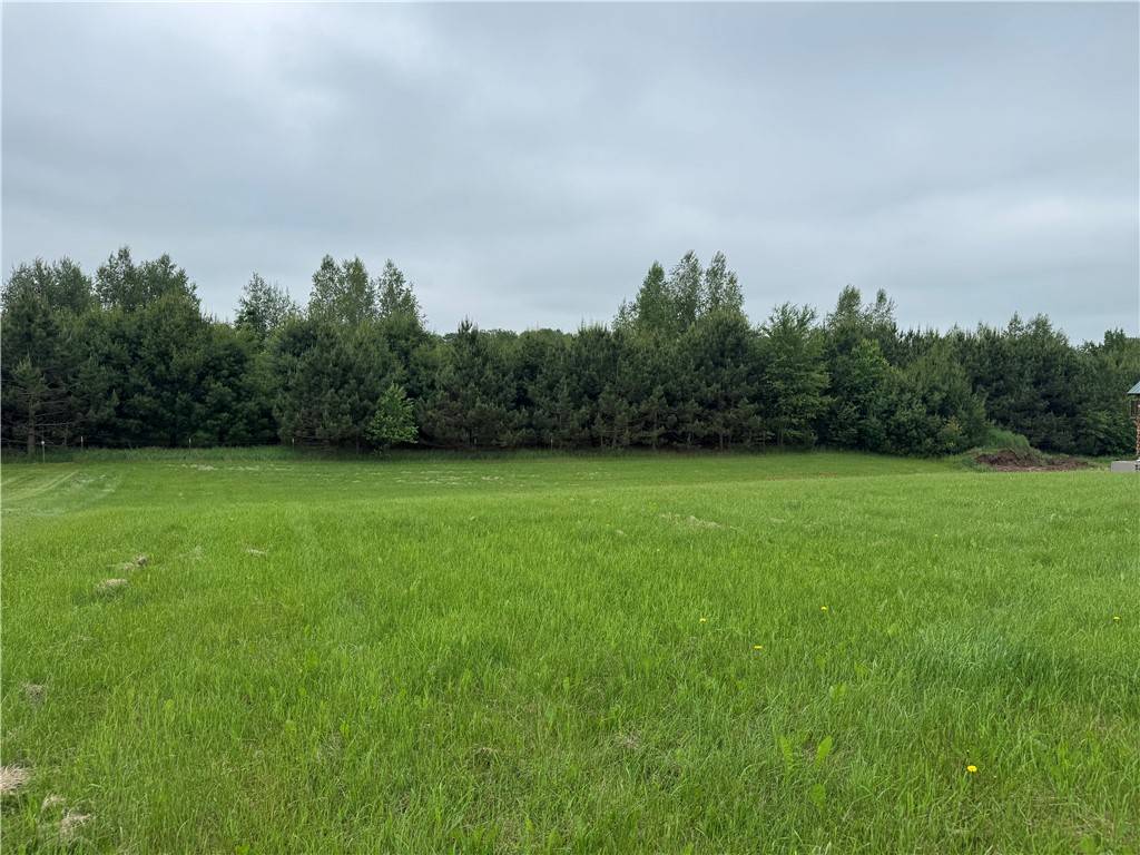 Holcombe, WI 54745,Unit 5 252nd CT