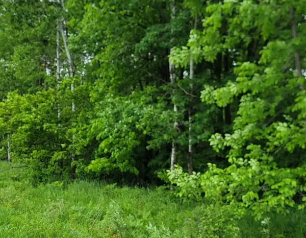 On Townline RD, Radisson, WI 54867