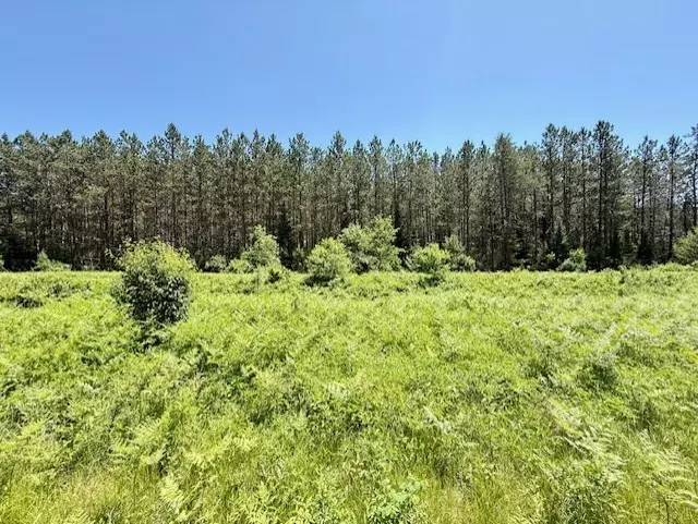 Hayward, WI 54843,Lot 60 Brook Lane