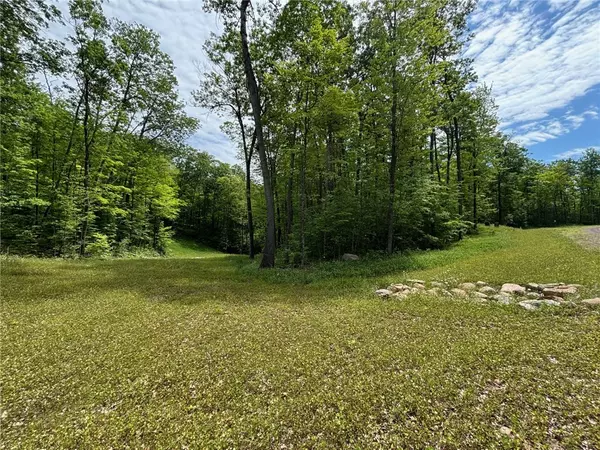 Hayward, WI 54843,10134N Hardwood Hills DR