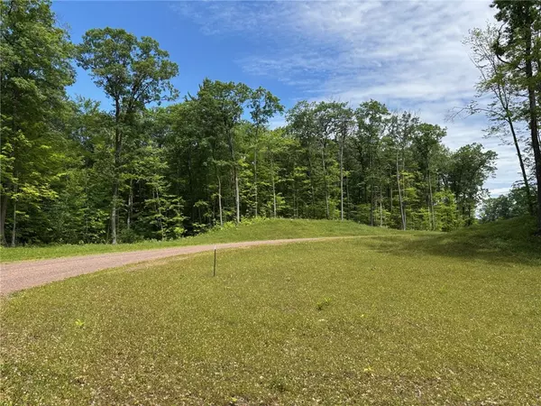 Hayward, WI 54843,10134N Hardwood Hills DR
