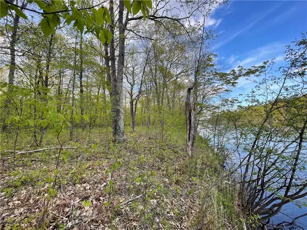 Minong, WI 54859,0 Colton RD