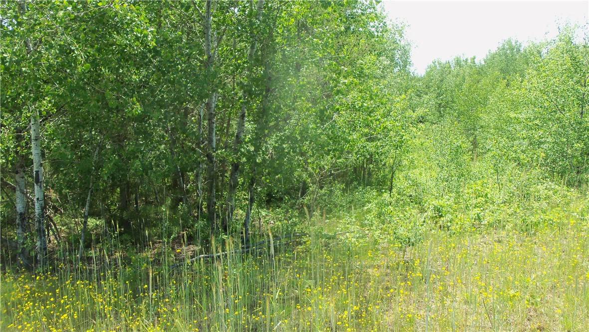 Siren, WI 54872,LOT 9 Maple LN