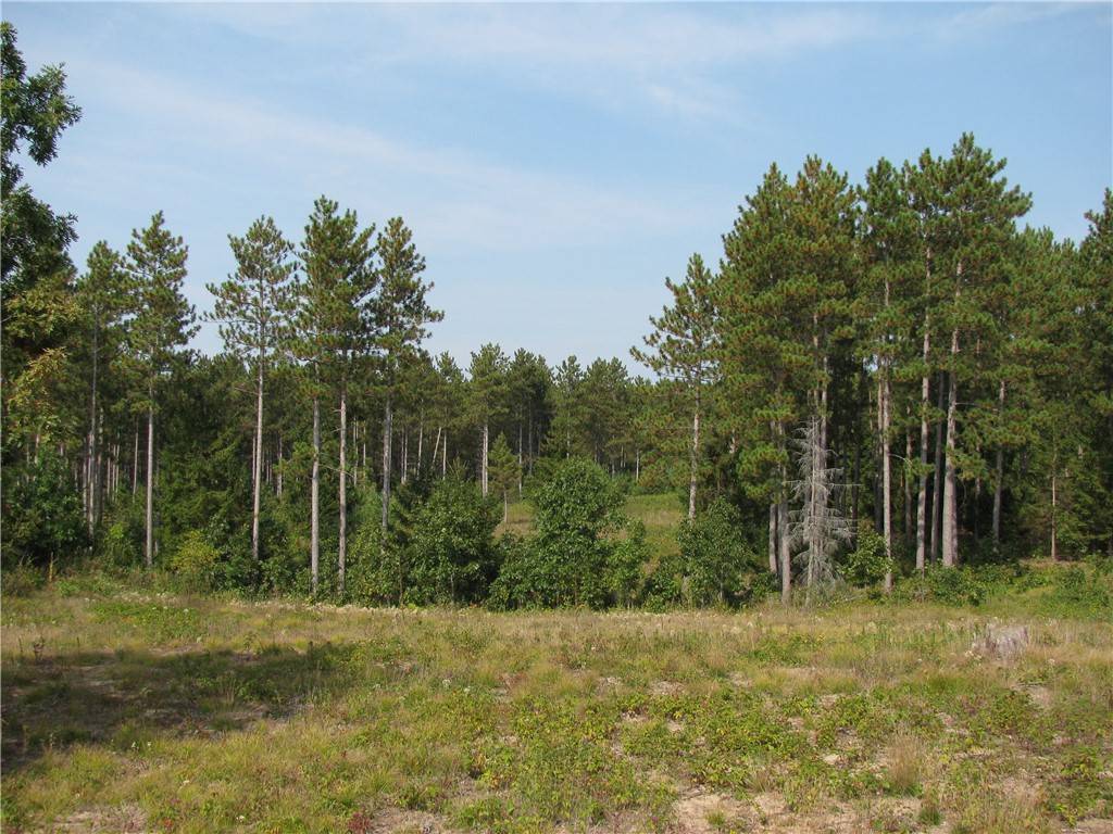 396 Bush Road, Melrose, WI 54642