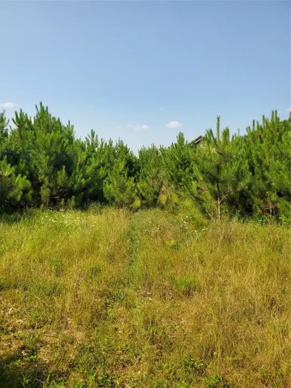 0 275th AVE, Holcombe, WI 54745