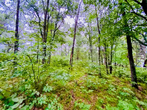 Minong, WI 54859,0 North Point DR