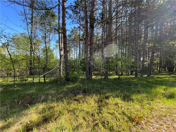 Hayward, WI 54843,Lot 6 Hermosa LN