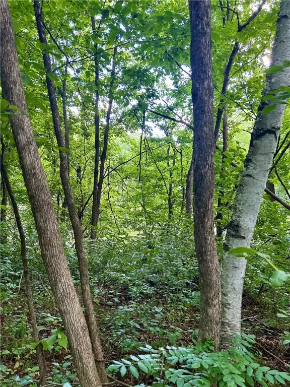 Amery, WI 54001,Lot 2 30th AVE