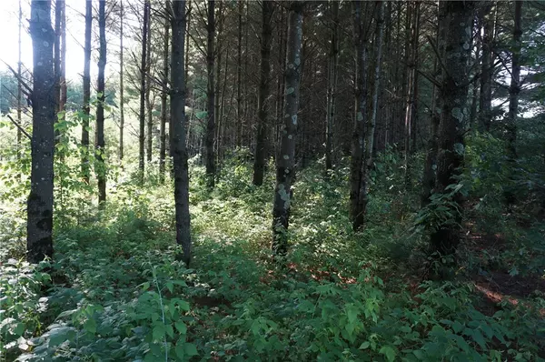 Fairchild, WI 54741,N12715 N Monthei RD