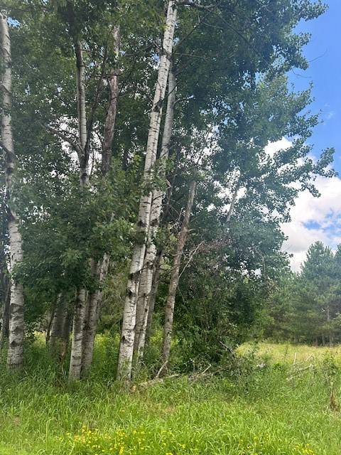 0000 Scott Dr, Spooner, WI 54801