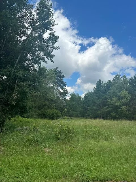Spooner, WI 54801,0000 Scott Dr