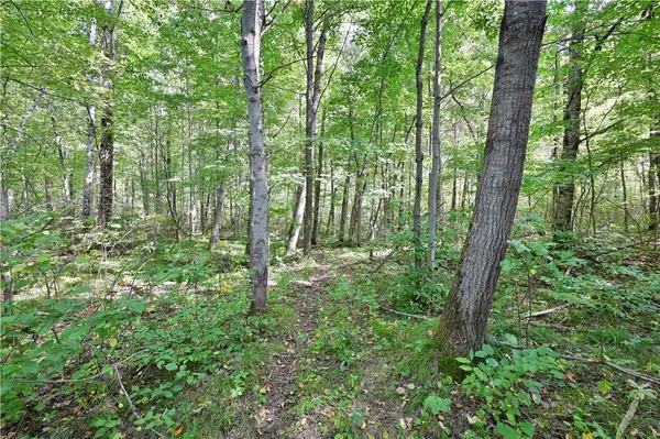 Rice Lake, WI 54868,Lots 1 & 2 13 1/4 St