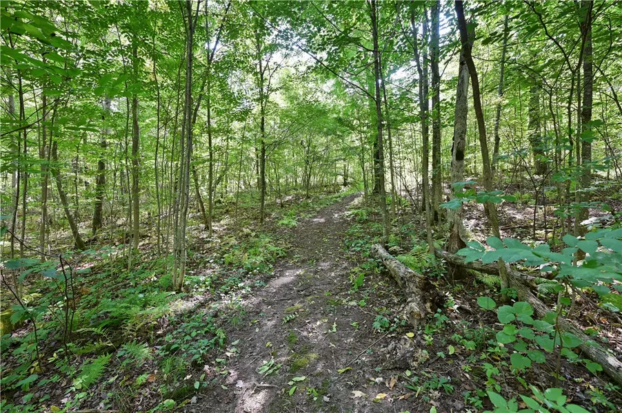 Lots 1 & 2 13 1/4 St, Rice Lake, WI 54868