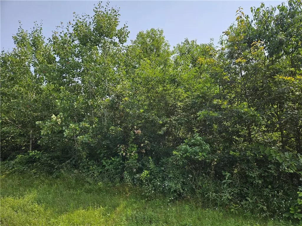 Spooner, WI 54801,xxx Trails End