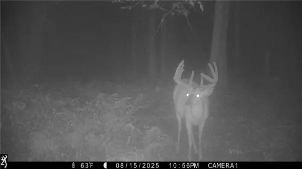 Strum, WI 54770,N45211 Franson Rd Roads N