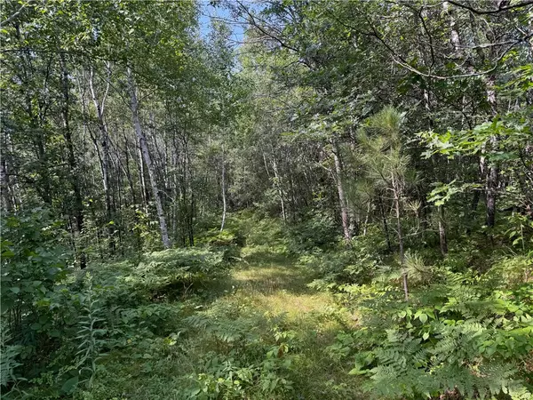 Springbrook, WI 54875,40 acres on Highway 63