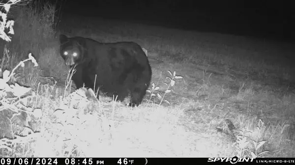 Augusta, WI 54722,E21504 Karow RD