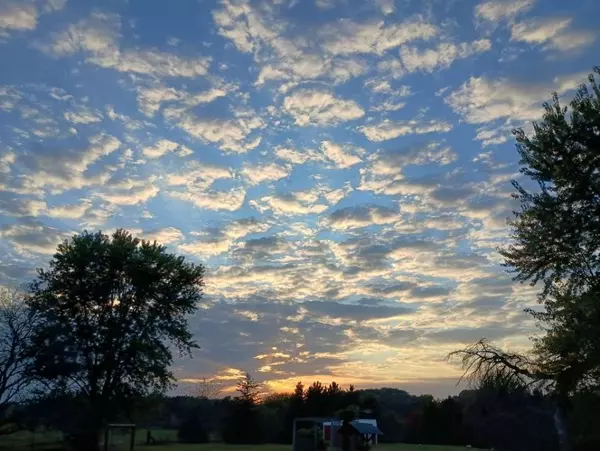 Eleva, WI 54738,1919 County Road Fw RD