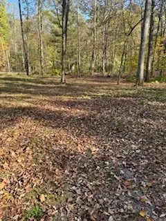 Birchwood, WI 54817,2728 28 3/8 ST