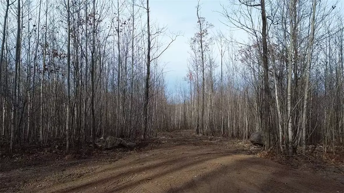 Trego, WI 54888,W583X Oak Ridge Drive