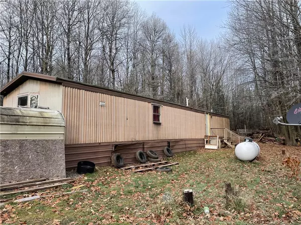 Butternut, WI 54514,81278 Basswood LN