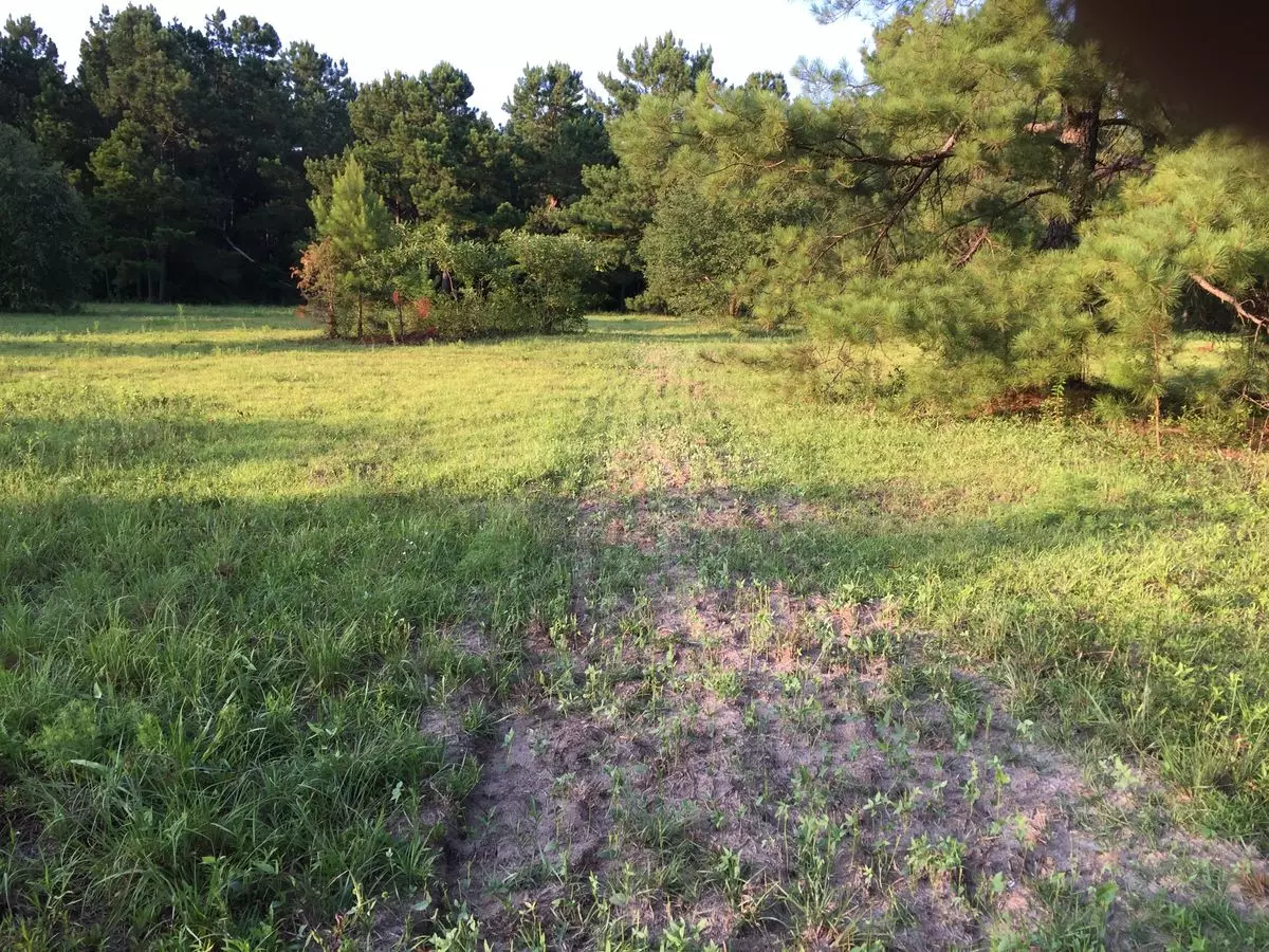 Saint Stephen, SC 29479,212 Spring Dell WAY