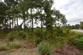 Mcclellanville, SC 29458,Hwy 17