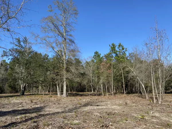 Moncks Corner, SC 29461,0 Power House Road (Lot 7)
