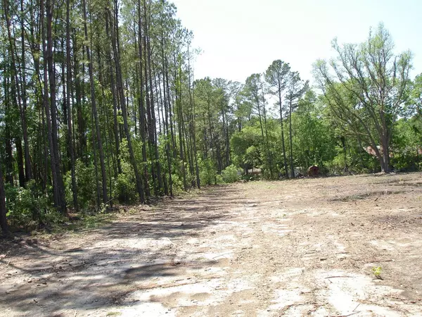 6130 Savannah Hwy, Ravenel, SC 29470