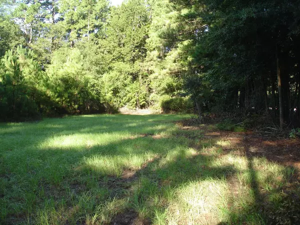 Ravenel, SC 29470,5605 Savannah HWY