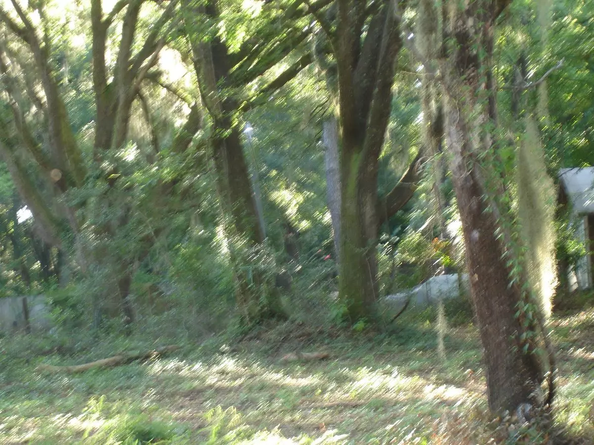 Ravenel, SC 29470,5605 Savannah HWY