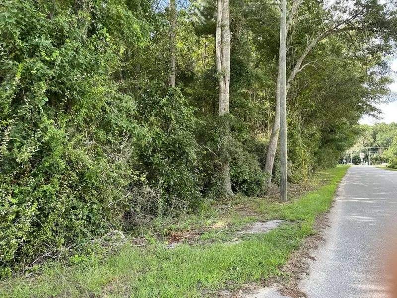 W Pulaski DR, Hampton, SC 29924