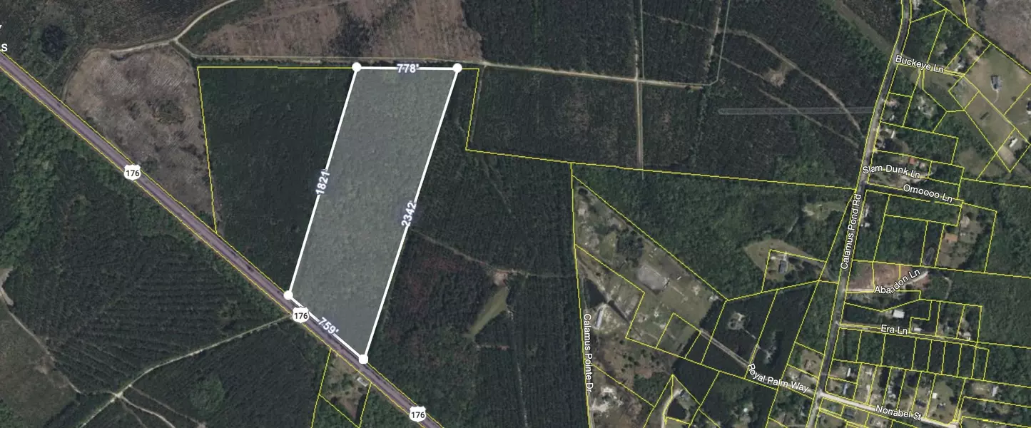 2900 Highway 176, Summerville, SC 29486