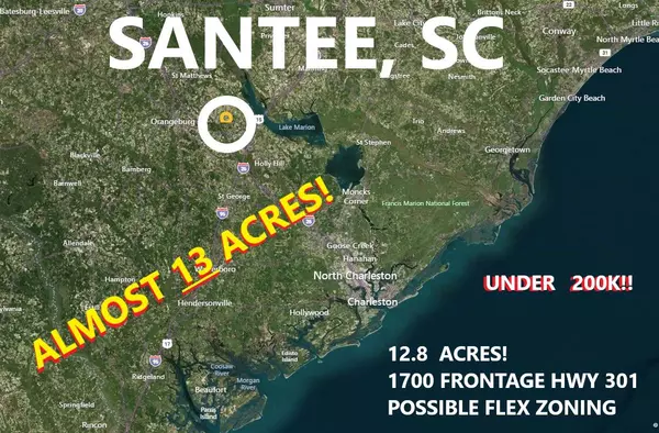 0 Hwy 301, Santee, SC 29142
