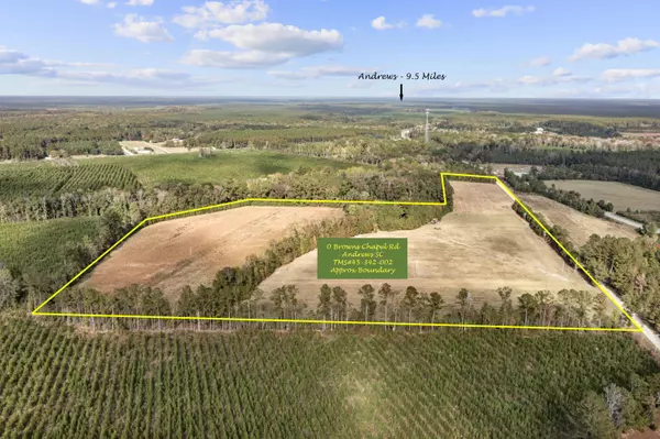 0 Browns Chapel RD, Andrews, SC 29510