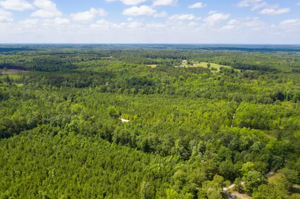 Saint Matthews, SC 29135,0 Hailey LN