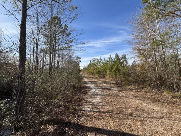 0 Hwy 15, Dorchester, SC 29059