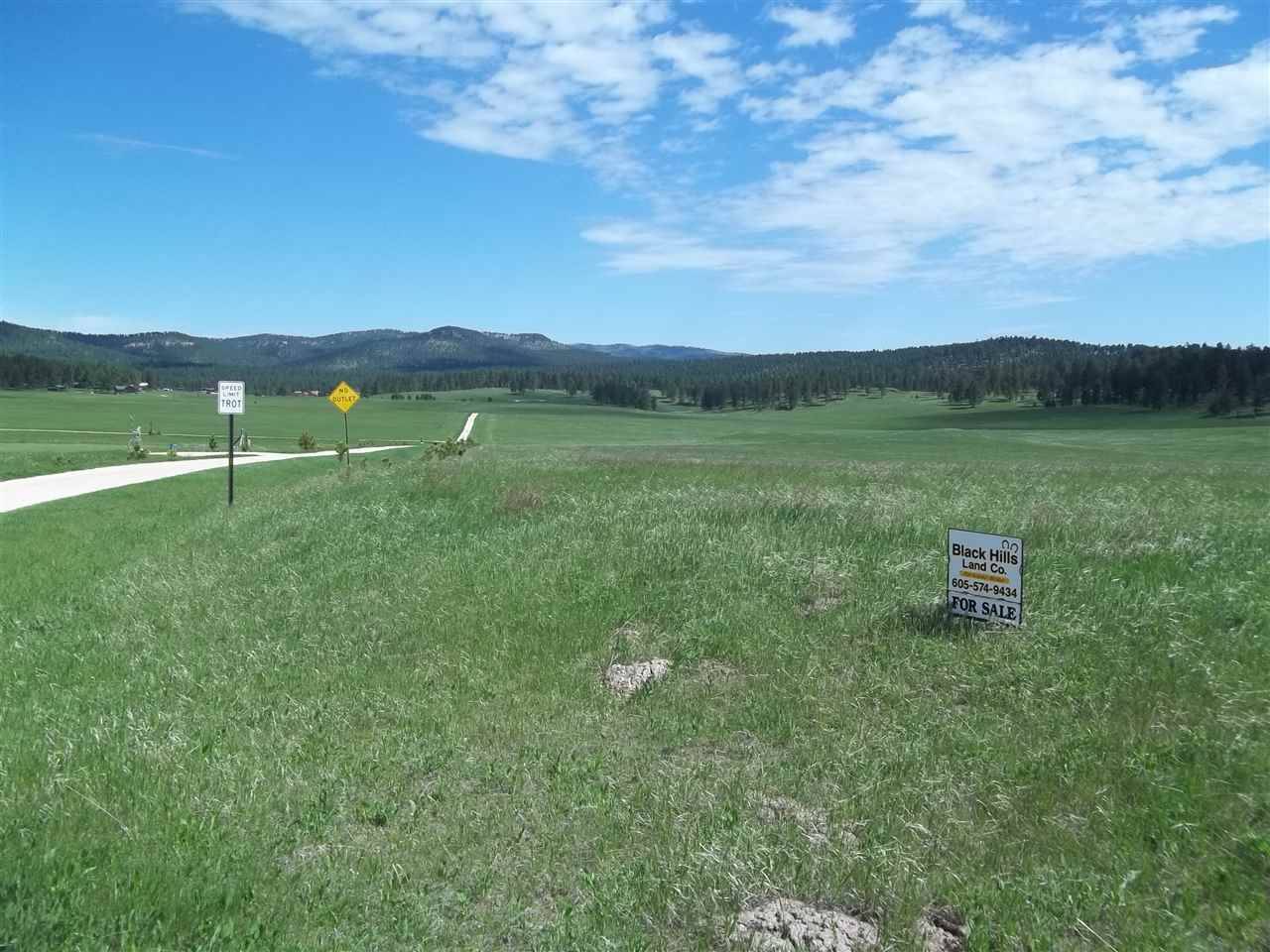 War Bonnet Road, Custer, SD 57730