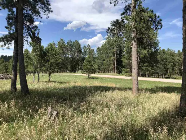 Wind Song Valley Road, Custer, SD 57730